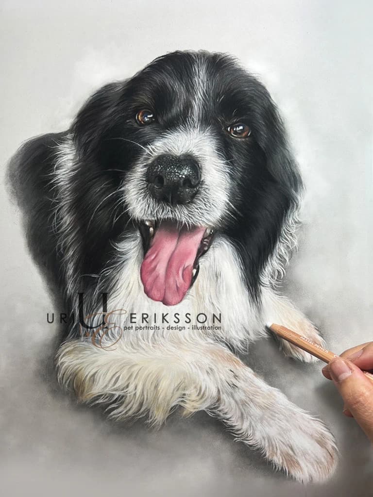 Pet Portraits Pastel - Ezra
