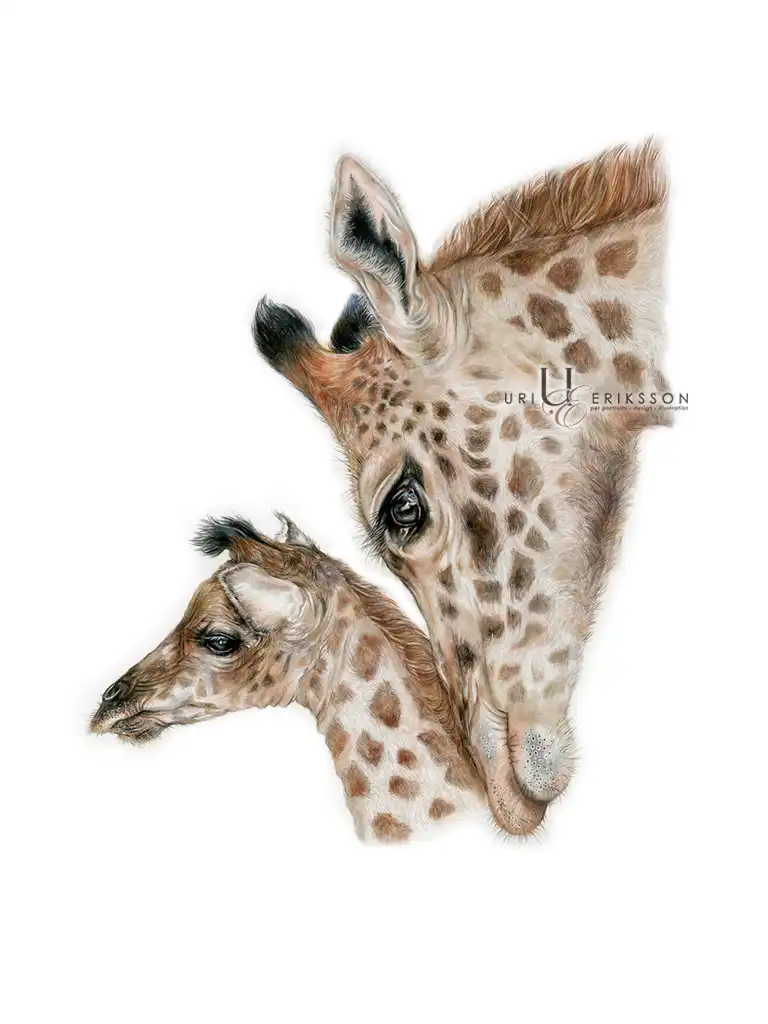 Pet Portraits - Lady & Polka