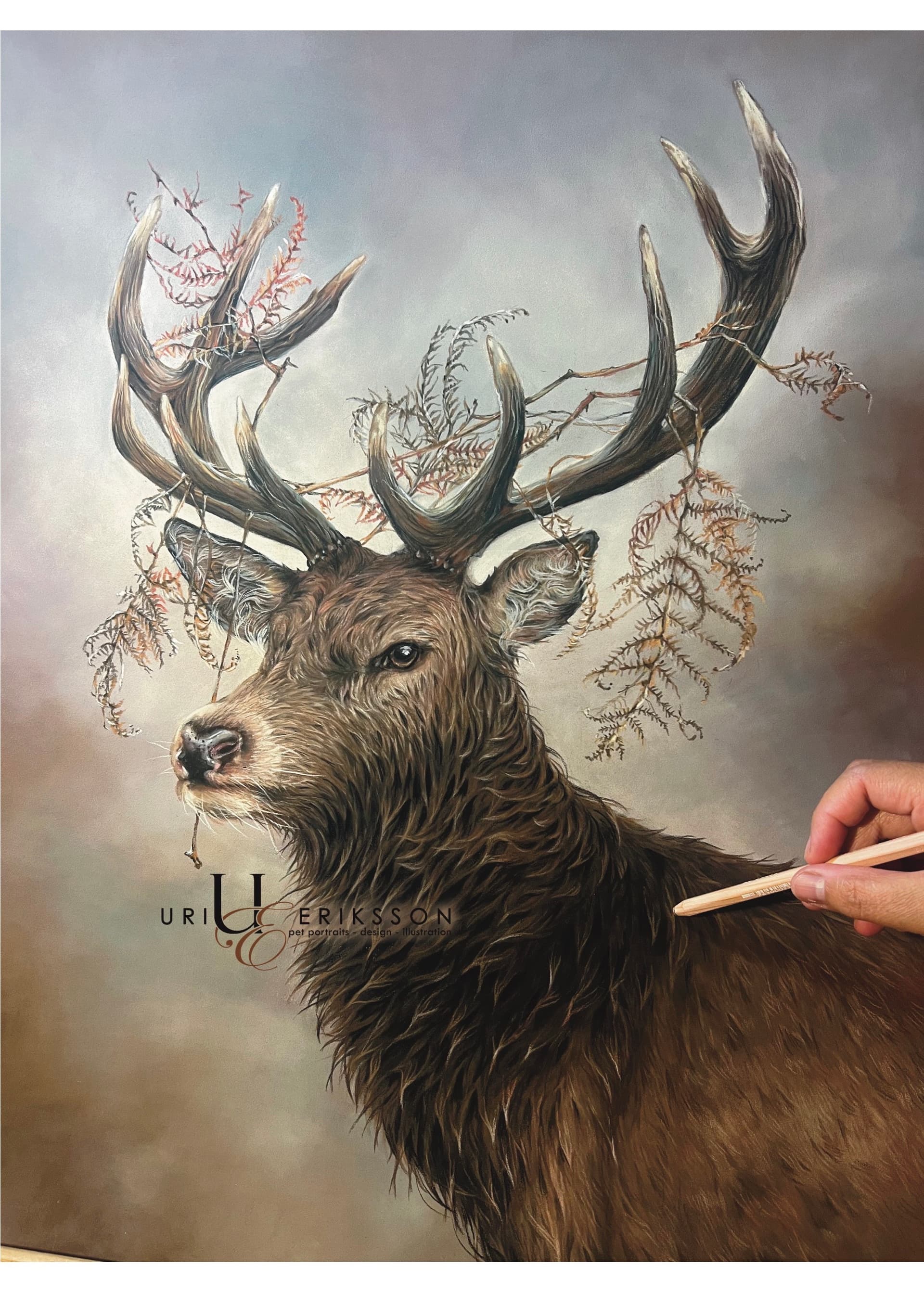 Wildlife Portraits - Deer